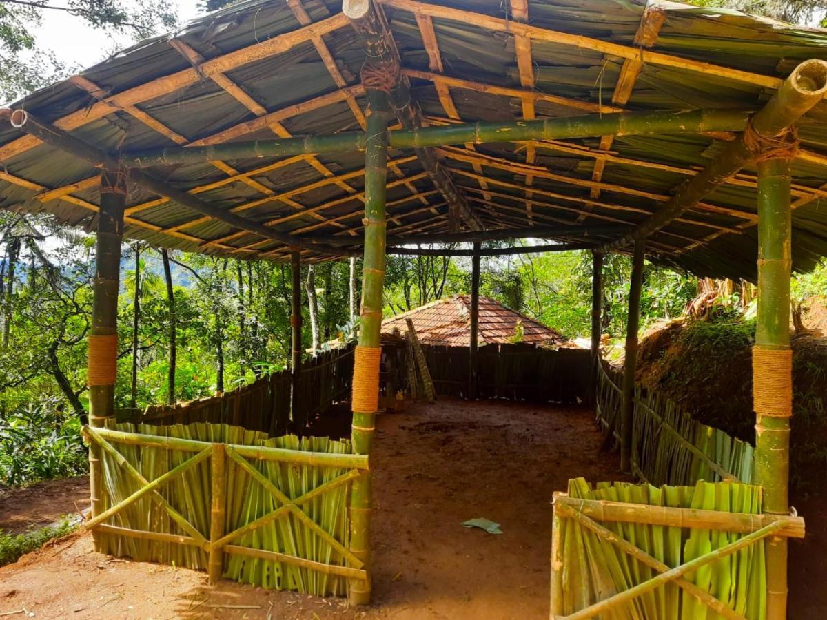 Kurinjiyil Farm Stay Munnar Buitenkant foto